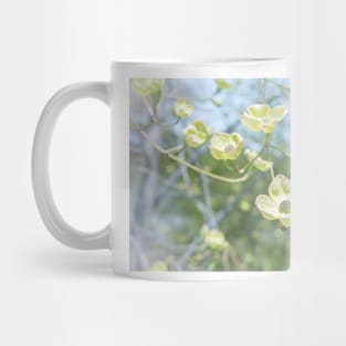 White Flowering Dogwood Blossoms in Springtime Mug